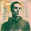 Слушать песню The River от Liam Gallagher