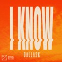 Слушать песню I Know от DallasK