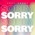 Слушать песню Sorry от Joel Corry