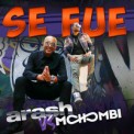 Слушать песню Se Fue от Arash & Mohombi