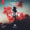 Слушать песню Weak от Andrey Exx feat. Terri B!