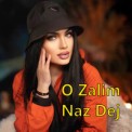Слушать песню O Zalim от Naz Dej