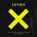 Слушать песню Intro Rework (Ashibah Miracle Vox Edit) от Vintage Culture, Bruno Be & Ownboss