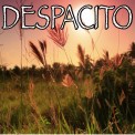 Слушать песню Despacito - Tribute to Luis Fonsi And Daddy Yankee and Justin Bieber от 2017 Billboard Masters