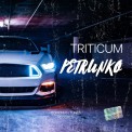 Слушать песню Petrunko от TRITICUM