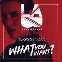 Слушать песню What You Want от Ilkay Sencan