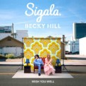 Слушать песню Wish You Well от Sigala, Becky Hill