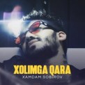 Слушать песню Xolimga qara от Хамдам Собиров