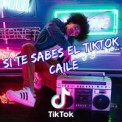 Слушать песню Si Te Sabes El TikTok Caile от Dj TikTok Viral