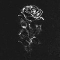 Слушать песню Чёрные розы от Maryana Ro