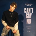 Слушать песню Can t Say No от Gunnar Gehl