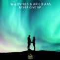 Слушать песню Never Give Up от Wildvibes & Arild Aas