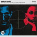 Слушать песню Where Do You Go (feat. Lexy Panterra) от Shaun Frank feat. Lexy Panterra