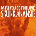 Слушать песню What You Do For Love от Skunk Anansie