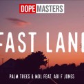 Слушать песню Fast Lane от Palm Trees feat. Mdl & Abi F Jones
