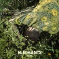 Слушать песню Friend от The Elephants