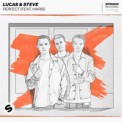 Слушать песню Perfect (feat. Haris) от Lucas & Steve feat. Haris