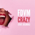 Слушать песню Crazy от FDVM feat. Gelbuda