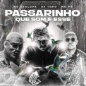 Слушать песню Passarinho Que Som É Esse от DJ Topo, MC PR, MC Cyclope