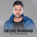 Слушать песню Gul Chida Chida от Sediq Shabab