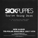 Слушать песню You're Going Down от Sick Puppies