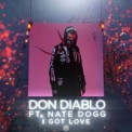 Слушать песню I Got Love от Don Diablo feat. Nate Dogg