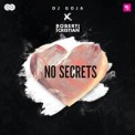 Слушать песню No Secrets от DJ Goja & Robert Cristian