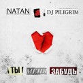 Слушать песню Ты меня забудь от Natan, DJ Piligrim