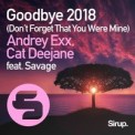 Слушать песню Goodbye 2018 (Don't Forget You Where Mine) от Andrey Exx & Cat Deejane Feat. Savage