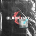 Слушать песню BLACK CAT от LeanJe