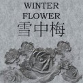 Слушать песню Winter Flower от Younha feat. RM