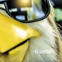 Слушать песню Shut Up Chicken (Radio Edit) от El Capon