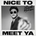 Слушать песню Nice To Meet Ya от Niall Horan