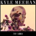 Слушать песню Te Amo от Kyle Meehan