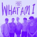 Слушать песню What Am I (Casualkimono Remix) от Why Don't We