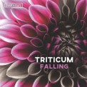 Слушать песню Falling от Triticum