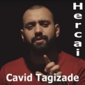 Слушать песню Hercai (Dolu dolu sevdalar gözlerimde) от Cavid Tagizade