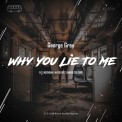 Слушать песню Why You Lie To Me (Nikko Culture Remix) от George Grey