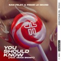 Слушать песню You Should Know от Sam Feldt, Fedde Le Grand, Craig Smart