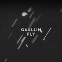 Слушать песню Fly от Gaullin