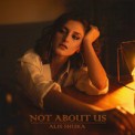 Слушать песню Not About Us (Byjoelmichael Remix) от Alis Shuka