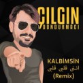 Слушать песню Kalbimsin (Remix) от Çılgın Dondurmacı