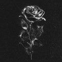 Слушать песню Черные Розы от Maryana Ro