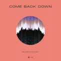 Слушать песню Come Back Down от Trilane & Felicity