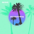 Слушать песню Sommerting от Skinz