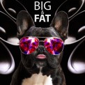 Слушать песню Big & Fat от Alex Gelo