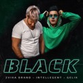Слушать песню Black от Zvika Brand, INtellegent & GELIK
