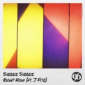 Слушать песню Right Now [Radio Edit] от Sherrie Sherrie feat. J Fitz