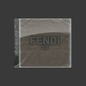 Слушать песню FENDI2 от Ганвест