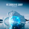 Слушать песню We Should Be Sorry от Axel Johansson